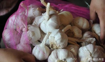 ​大蒜紫皮和白皮哪个好？就这2点不同，以后别乱买了