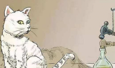 ​薛定谔是什么梗比喻什么 女生说薛定谔的猫想表达什么