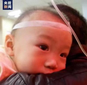 ​曾全网关注的“小石头”，如今怎么样了？