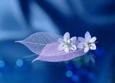 ​父亲节句子感动，父爱简短走心的句子