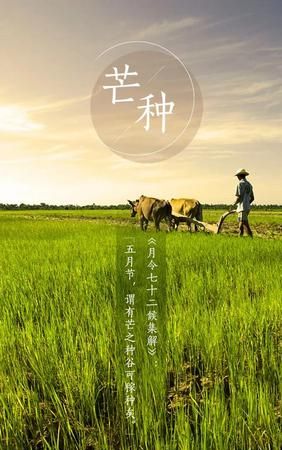 六月六号是什么星座