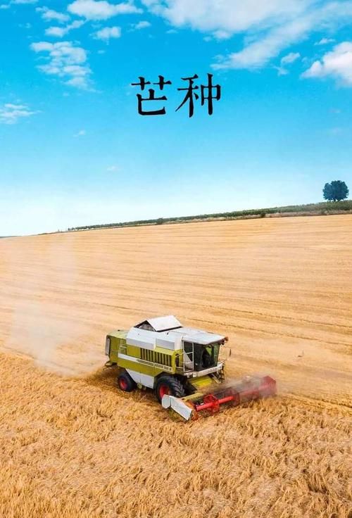 2025年的芒种是哪一天