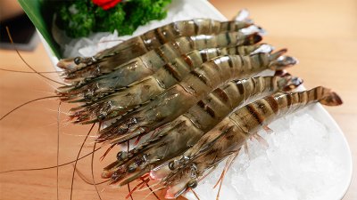 ​对虾和基围虾的区别