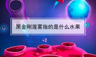 ​黑金刚莲雾指的是什么水果
