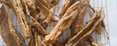 ​地骨皮的副作用及禁忌 中药地骨皮的的禁忌有哪些