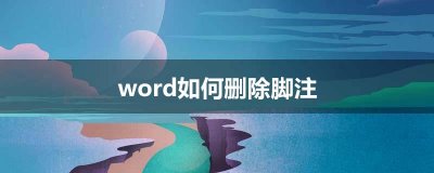 ​word如何删除脚注