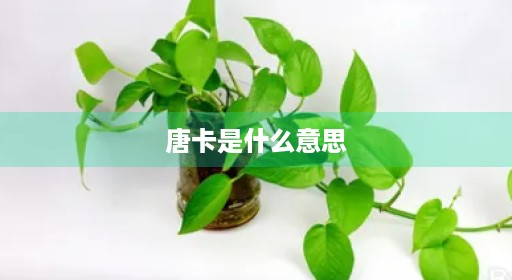 唐卡是什么意思 唐卡是什么意思