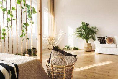 ​枇杷树怎么种植