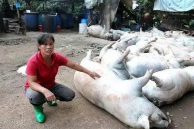 ​为什么人会被雷劈死啊