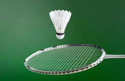 ​一支羽毛球上通常有几根羽毛（羽毛球介绍）