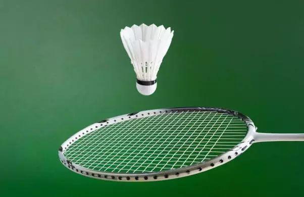 一支羽毛球上通常有几根羽毛(羽毛球介绍)