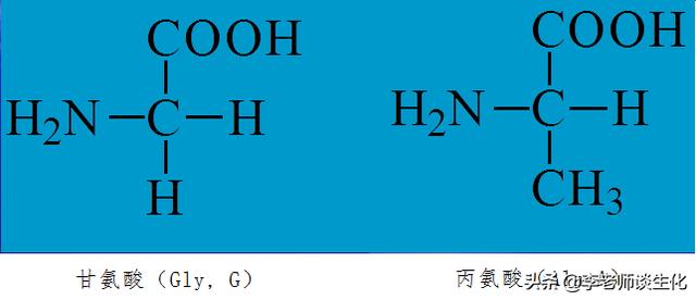 常见20种氨基酸分类(基本氨基酸的一些基本知识)(1)