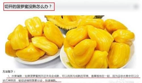 菠萝蜜不熟要怎么放才能熟透