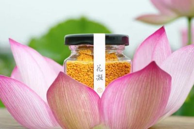 ​荷花粉的保质期是多长时间 荷花粉的副作用
