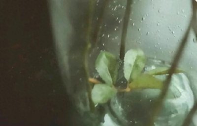 ​这三种人，看似很傻，其实聪慧过人，你要多留个心眼