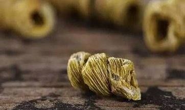 5克石斛有几粒,石斛泡水喝的功效用量图3