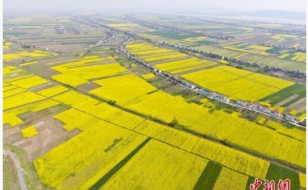 江洲市位于哪个省,江州是哪个省的城市图4