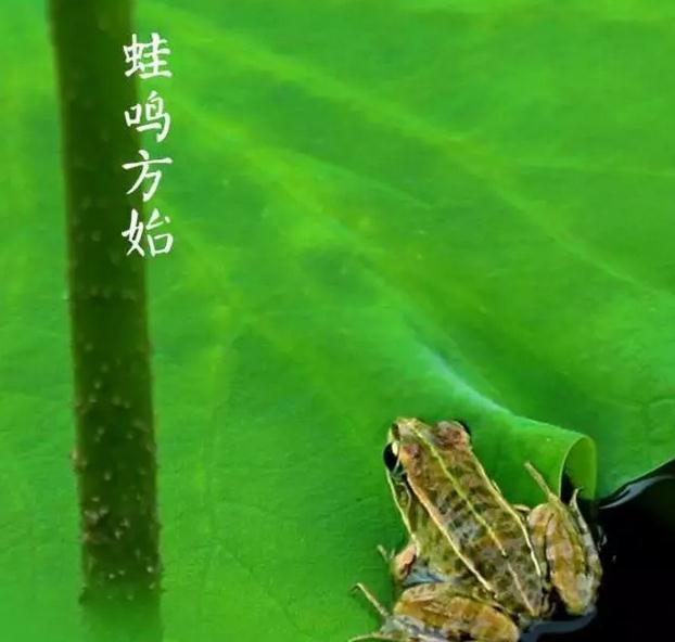 关于立夏的诗词大全 8首立夏诗词保证你没读过(6)