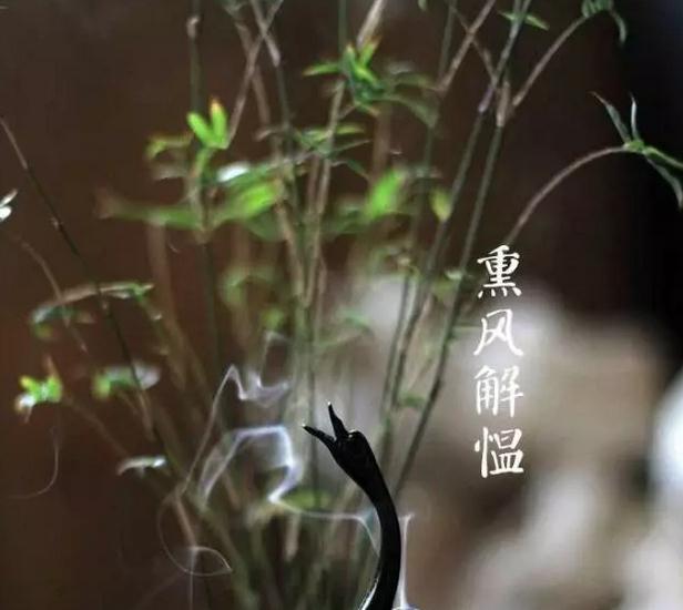 关于立夏的诗词大全 8首立夏诗词保证你没读过(5)