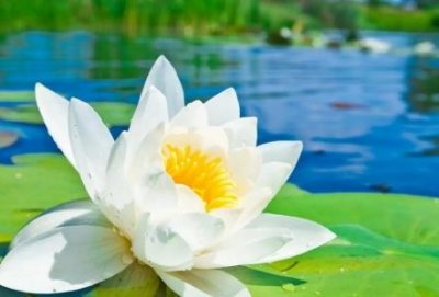 ​骨灰为什么不能放家里 没有条件买墓地又想入土为安