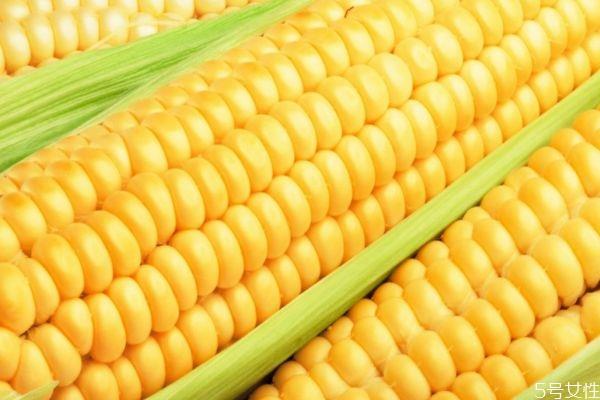 如何区分老玉米和新玉米 如何挑选玉米呢 如何区分老玉米和新玉米 如何挑选玉米呢