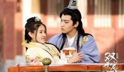 ​双世宠妃 八王爷(双世宠妃邢昭林图片)