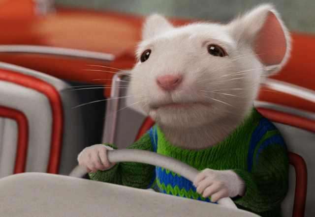 下雨了下雨了什么动物躲进了什么伞