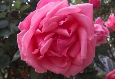 ​怎么变白(如何皮肤变白小妙招)