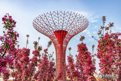 ​河南西平：共赴海棠之约， 赏花观景品美食攻略送给您！