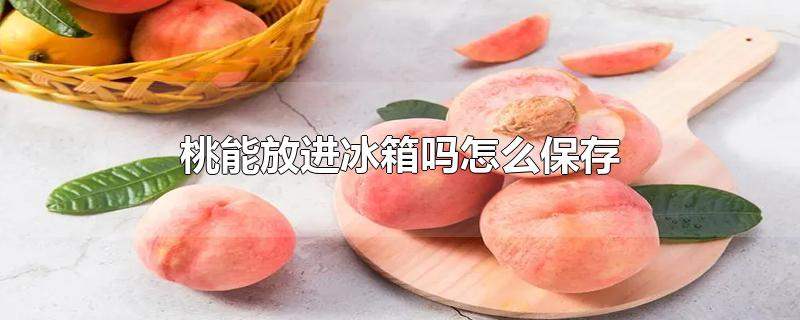 桃子可以放冰箱冷藏吗,桃子冰箱里可以保存吗