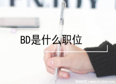 ​bd是什么职位的缩写 bd往往更像是公关