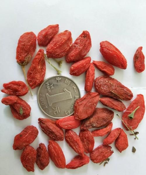 老树枸杞子与新树枸杞有区别