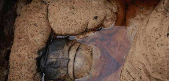 江苏发现无名女尸(江苏挖出诡异女尸)(10)