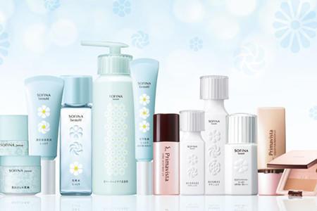 日本有哪些最有名的护肤品（日本护肤品哪些适合我们）(12)