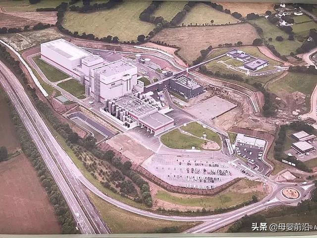 青岛中外合资企业圣元(张亮圣元蓄势不争一时之快)(4)