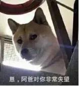 重庆二手房楼市遇冷(重庆二手房价怎么了)(1)