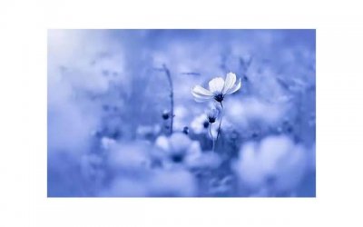 ​这句话让我重新认识爱情，女人看淡一切的真正含义是什么？