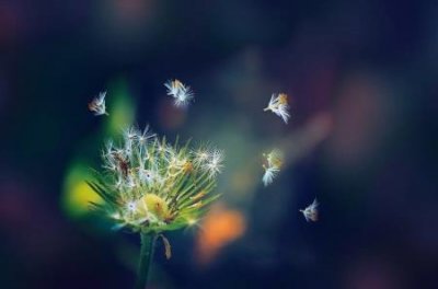 ​商业展示设计手绘什么是商业手绘