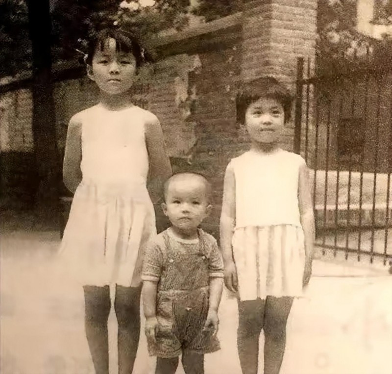 主持人周迅个人资料(朱迅两次抗癌成功幸福背后不易)