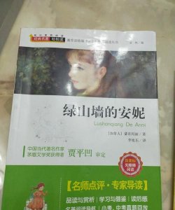 ​绿山墙的安妮简介，绿山墙的安妮系列的八部分别讲了什么？