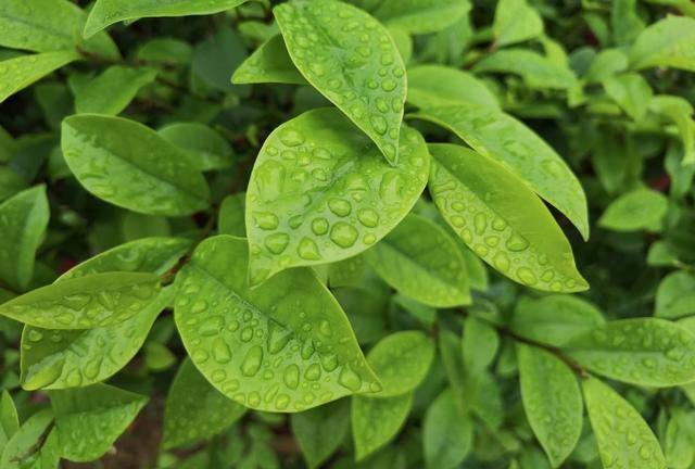 三星f52详细参数(一篇文带你了解)(14)