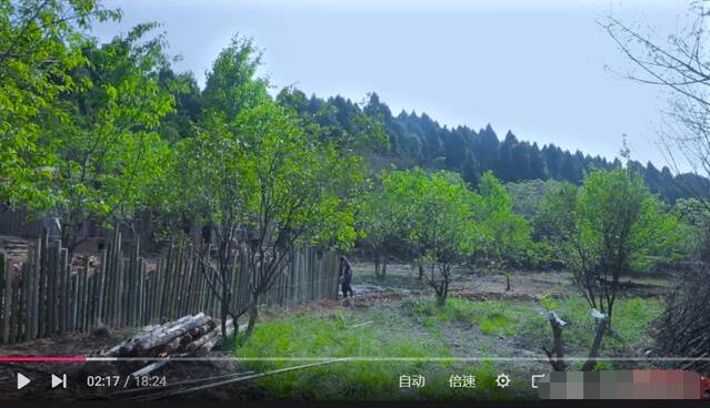 李子柒的视频在传播什么?为什么她的视频有那么多粉丝