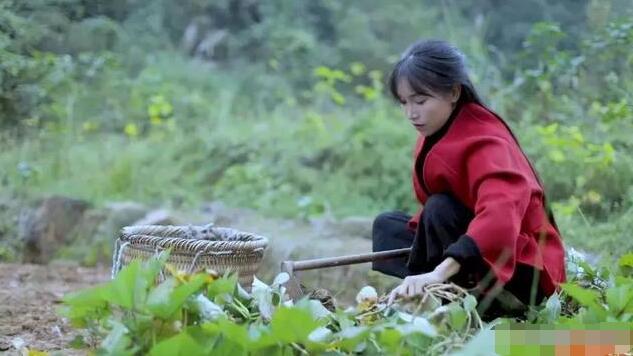 李子柒的视频在传播什么?为什么她的视频有那么多粉丝