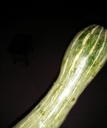 玉的别名叫什么