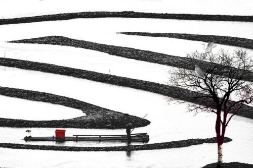 锲而不舍是什么意思怎么解释(锲而不舍的锲是什么意思)-第1张图片-