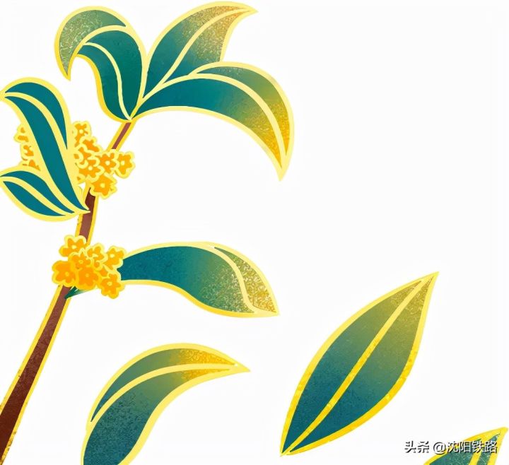 c是什么火车(列车车次上的字母含义解析)