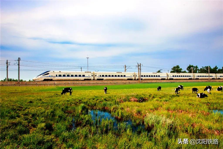 c是什么火车(列车车次上的字母含义解析)