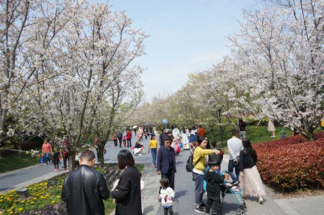 索尼微单 A7M3 索尼微单全画幅新基准A7M3测评(34)