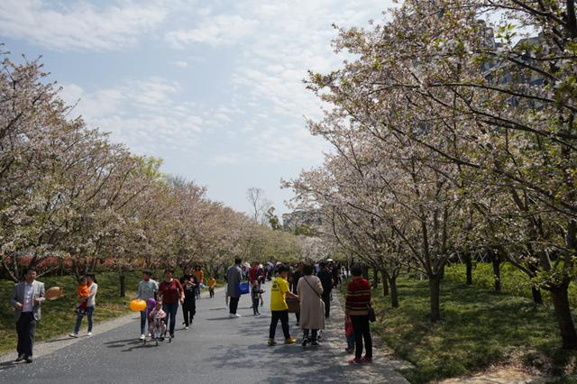 索尼微单 A7M3 索尼微单全画幅新基准A7M3测评(37)