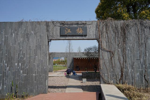 索尼微单 A7M3 索尼微单全画幅新基准A7M3测评(28)